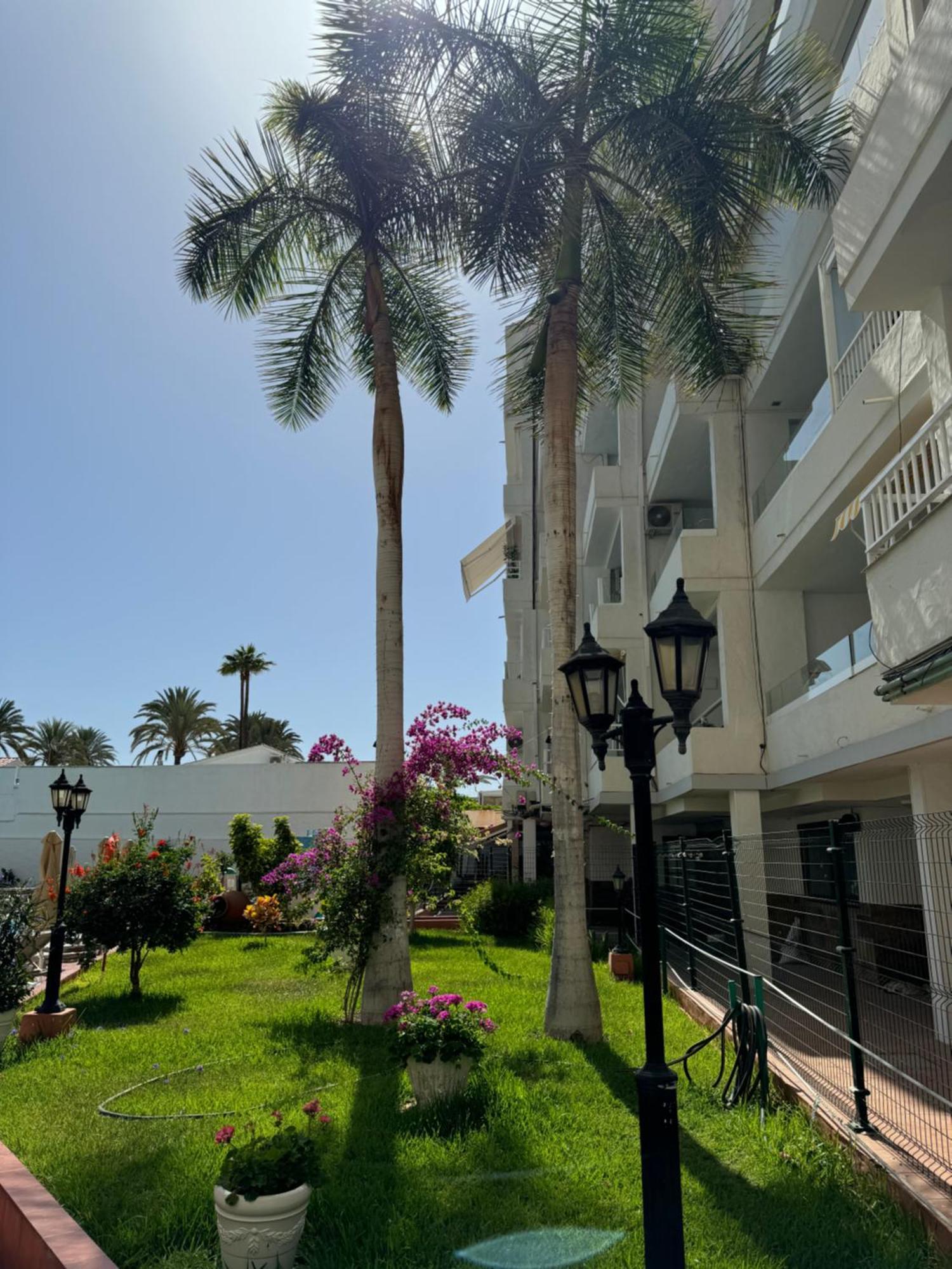 San Bartolomé Apartamento Reformado En Apartamentos Tanife, Playa Del Ingles מראה חיצוני תמונה