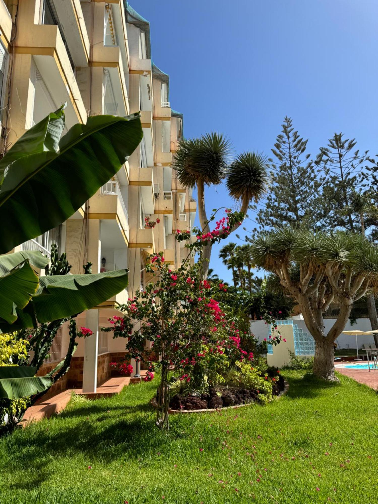 San Bartolomé Apartamento Reformado En Apartamentos Tanife, Playa Del Ingles מראה חיצוני תמונה